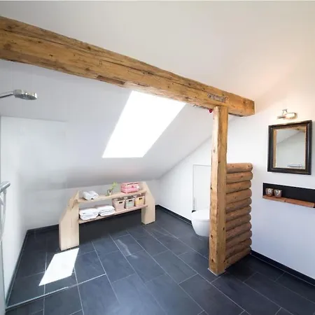 Vakantiehuis Plaatsje In Het Mesnerhuis